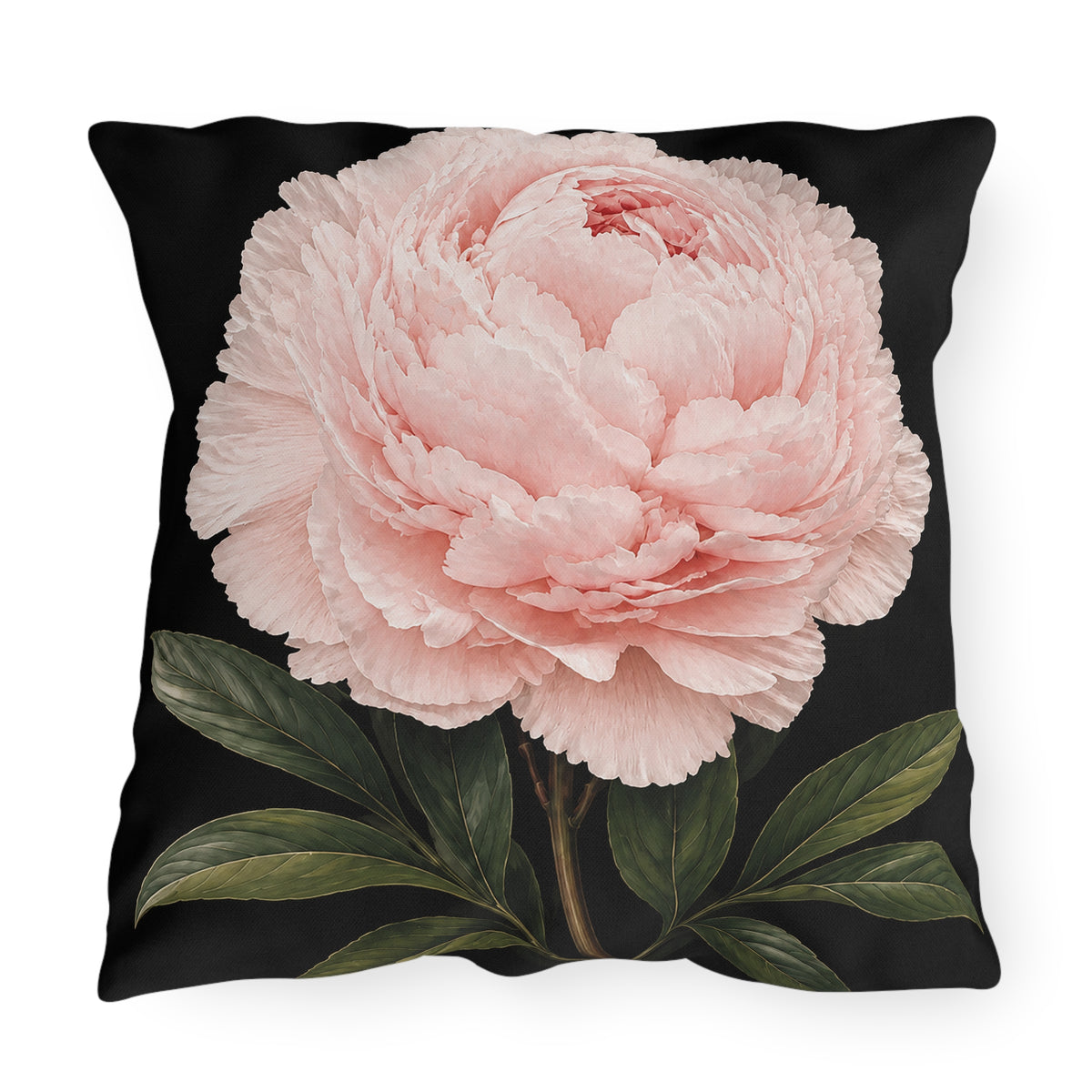 A square throw pillow featuring a large, detailed light pink peony flower with dark green leaves on a solid black background.